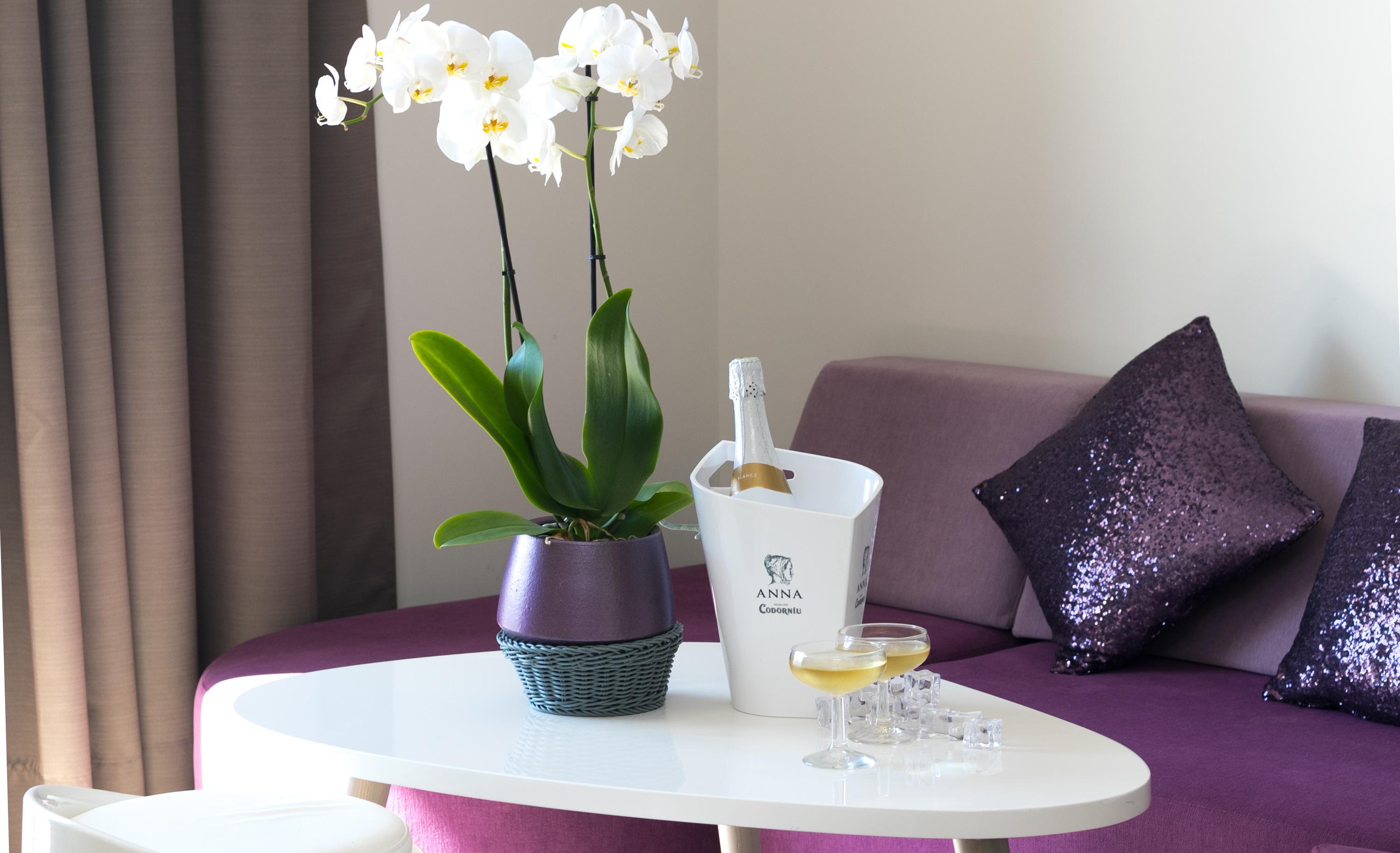 The Purple Hotel - Adults Only Sant Antoni de Portmany Zewnętrze zdjęcie